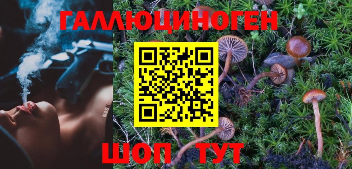 Галлюциногенные грибы ЛСД Отрадное