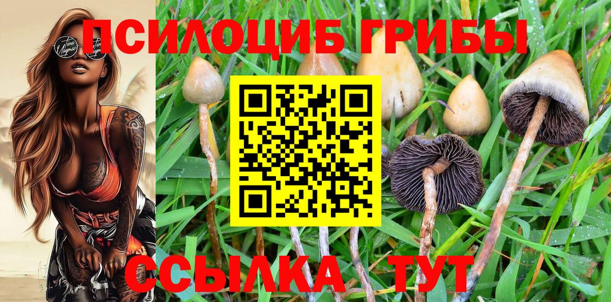 купить наркоту  Псилоцибиновые грибы прущие грибы  Вход с VPN  Отрадное 